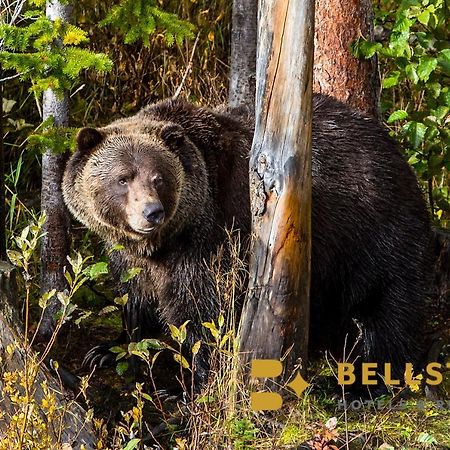 Palliser Lodge — Bellstar Hotels & Resorts Golden Kültér fotó